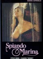 Watch The Smile of the Fox Vumoo