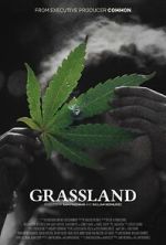 Watch Grassland Vumoo