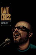 Watch David Cross Bigger & Blackerer Vumoo