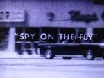 Watch Spy on the Fly (Short 1967) Vumoo