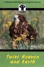Watch Twixt Heaven and Earth Vumoo