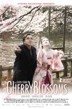 Watch Cherry Blossoms Vumoo
