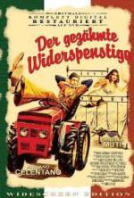 Watch The Taming of the Scoundrel Vumoo