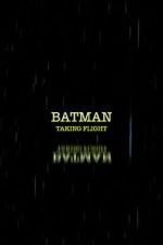 Watch Batman: Taking Flight Vumoo