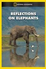 Watch Reflections on Elephants Vumoo