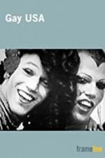 Watch Gay USA Vumoo