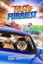 Watch Fast and Furriest Vumoo