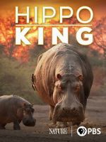 Watch Hippo King Vumoo