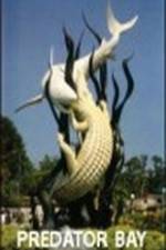 Watch Predator Bay Vumoo