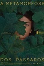 Watch The Metamorphosis of Birds Vumoo