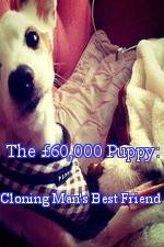 Watch The £60,000 Puppy: Cloning Man's Best Friend Vumoo