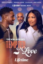 Watch Terry McMillan Presents: Tempted 2 Love Vumoo