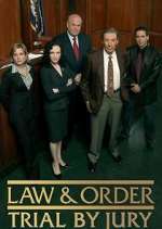 Watch Law & Order: Trial by Jury Vumoo