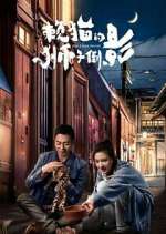 Watch The Lion's Secret Vumoo