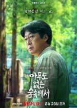 Watch The Frog Vumoo