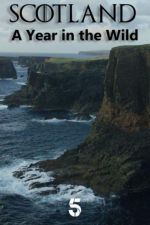 Watch Scotland: A Wild Year Vumoo