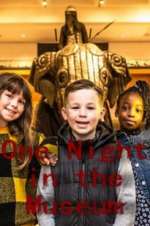 Watch One Night in the Museum Vumoo