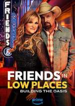 Watch Friends in Low Places Vumoo