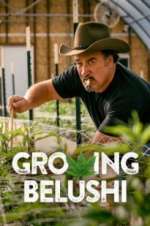 Watch Growing Belushi Vumoo