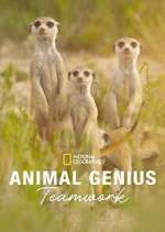 Watch Animal Genius Vumoo
