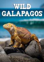 Watch Wild Galapagos Vumoo