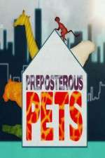 Watch Preposterous Pets Vumoo