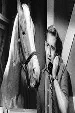 Watch Countdown to... Vumoo