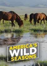 Watch America's Wild Seasons Vumoo