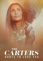 Watch The Carters: Hurts To Love You Vumoo