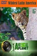 Watch Wildest Latin America Vumoo