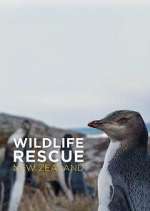 Watch Wildlife Rescue New Zealand Vumoo