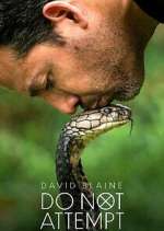 Watch David Blaine Do Not Attempt Vumoo