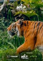 Watch Wild Heroes Vumoo