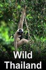 Watch Wild Thailand Vumoo