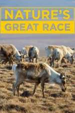 Watch Nature's Great Race Vumoo
