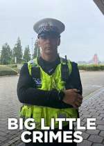 Watch Big Little Crimes Vumoo