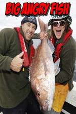 Watch Big Angry Fish Vumoo