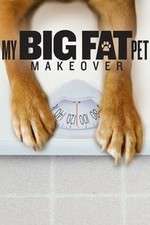 Watch My Big Fat Pet Makeover Vumoo