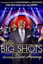 Watch Little Big Shots Vumoo