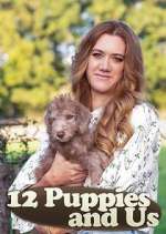 Watch 12 Puppies and Us Vumoo