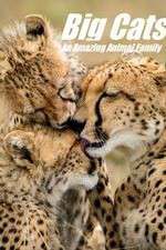 Watch Big Cats: An Amazing Animal Family Vumoo