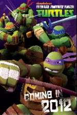 Watch Teenage Mutant Ninja Turtles Vumoo