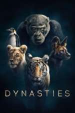 Watch Dynasties Vumoo