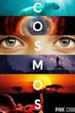 Watch Cosmos A SpaceTime Odyssey Vumoo