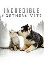 Watch Incredible Northern Vets Vumoo
