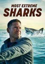 Watch Most Extreme Sharks Vumoo