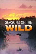 Watch Seasons of the Wild Vumoo