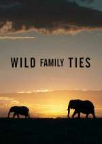 Watch Wild Family Ties Vumoo